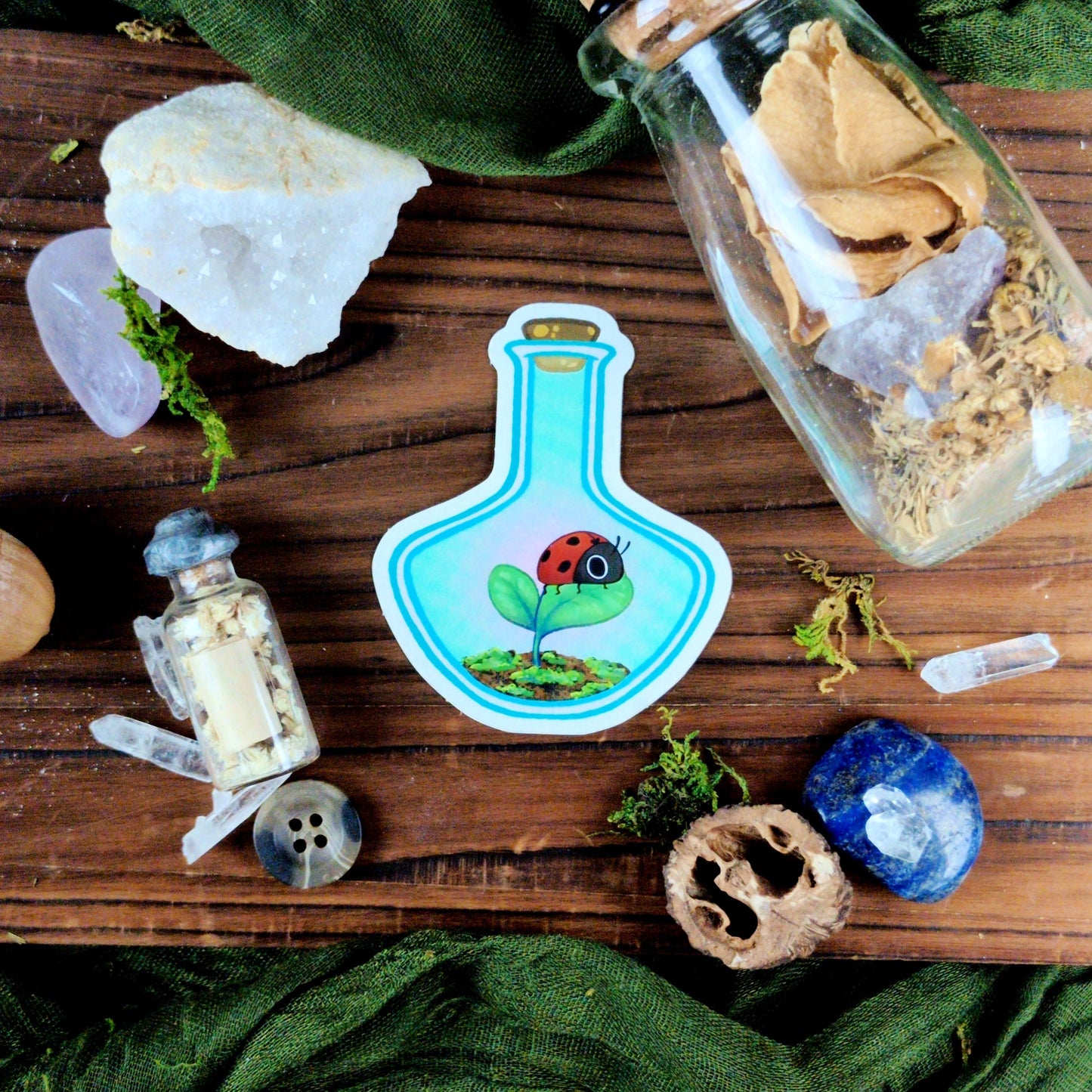Lady Bug Bottle - Sticker